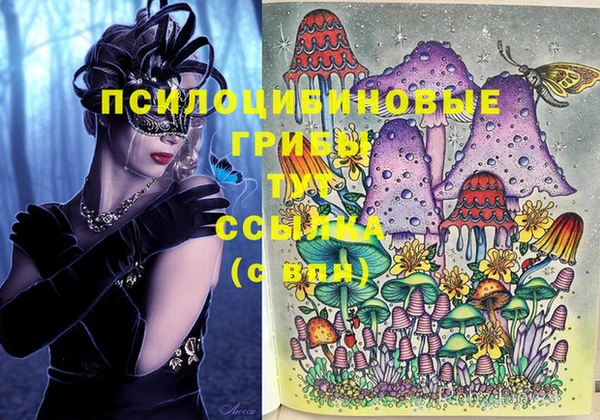 ешки Верея
