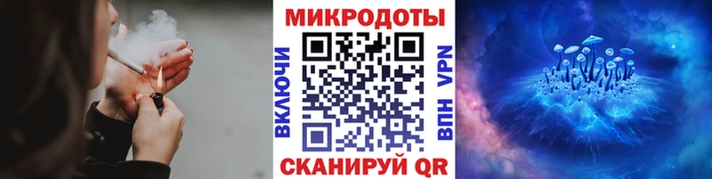 Галлюциногенные грибы Psilocybine cubensis  Гагарин 